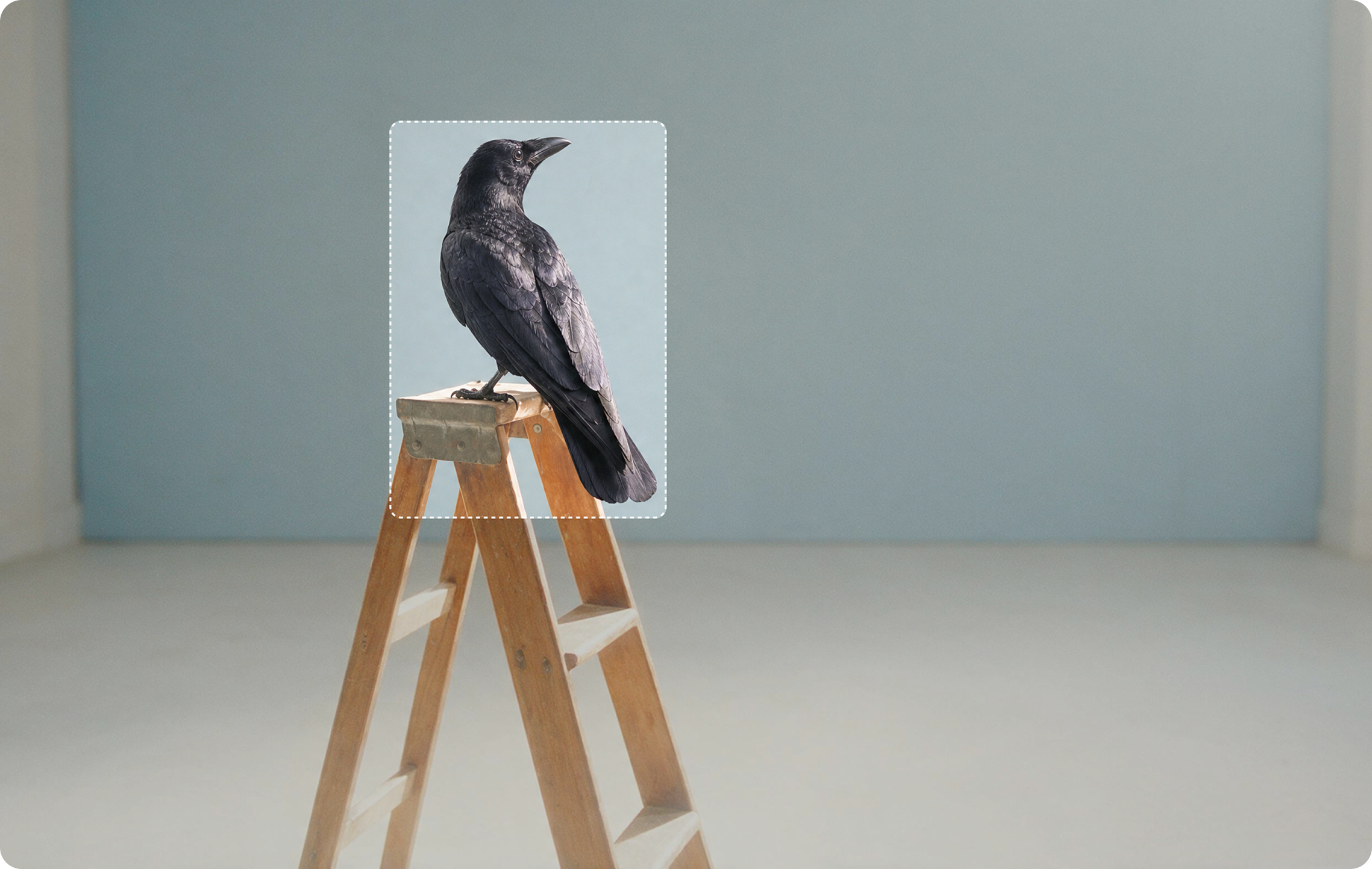 Edit Image app artwork