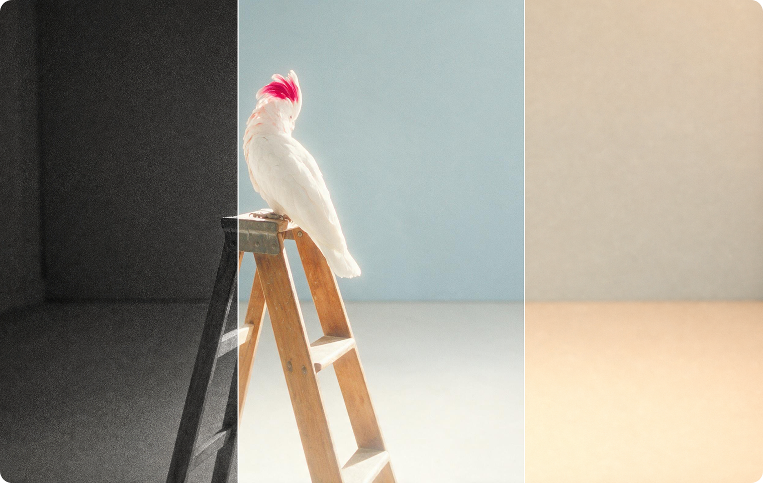 Color Grade app artwork